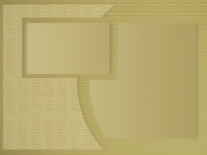 察哈爾右翼中旗飼料昆蟲有限責(zé)任公司